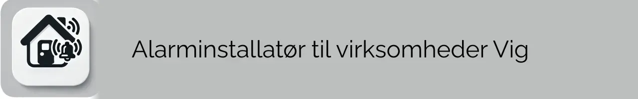 Alarminstallatør til virksomheder Vig